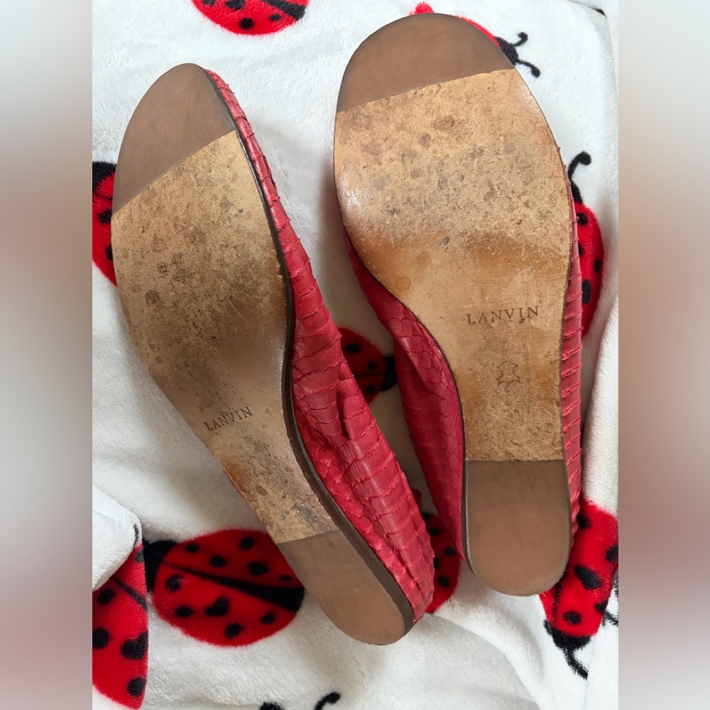 LANVIN Snakeskin Python Ballet Flats Leather - image 3
